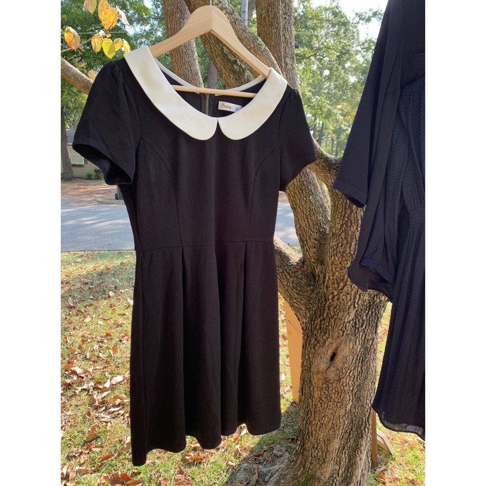 Peter Pan Collar Dress by Modcloth and Sunny Girl